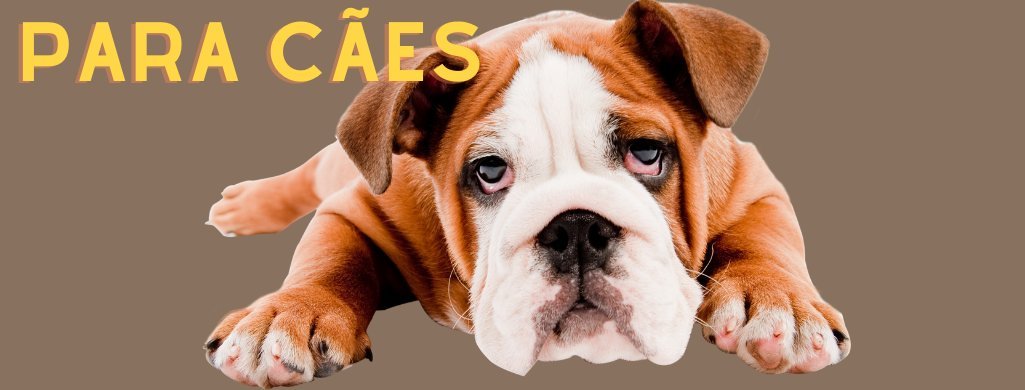 Para Cães | PetDoctors - Loja Online