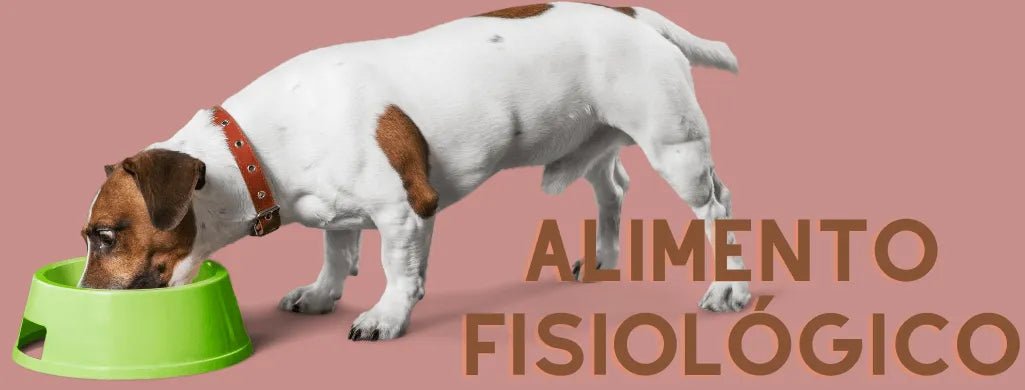 Para Cães - Alimento Fisiológico - PetDoctors - Loja Online