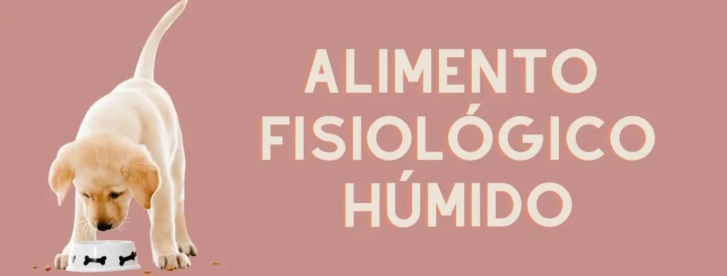 Para Cães - Alimento Fisiológico - Alimento Húmido - PetDoctors - Loja Online