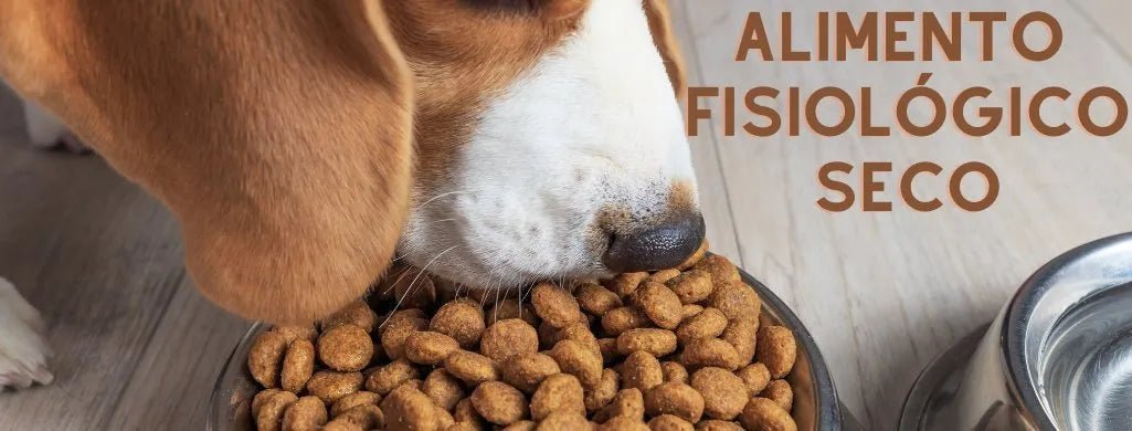 Para Cães - Alimento Fisiológico - Alimento Seco - PetDoctors - Loja Online