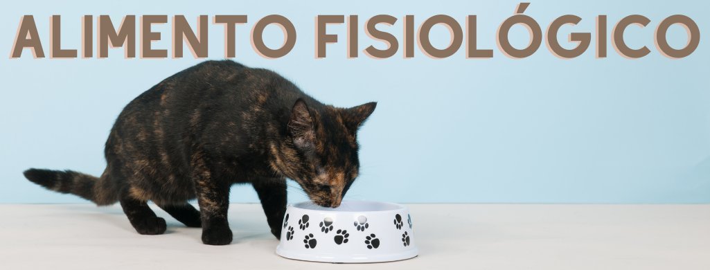 Para Gatos - Alimento Fisiológico | PetDoctors - Loja Online