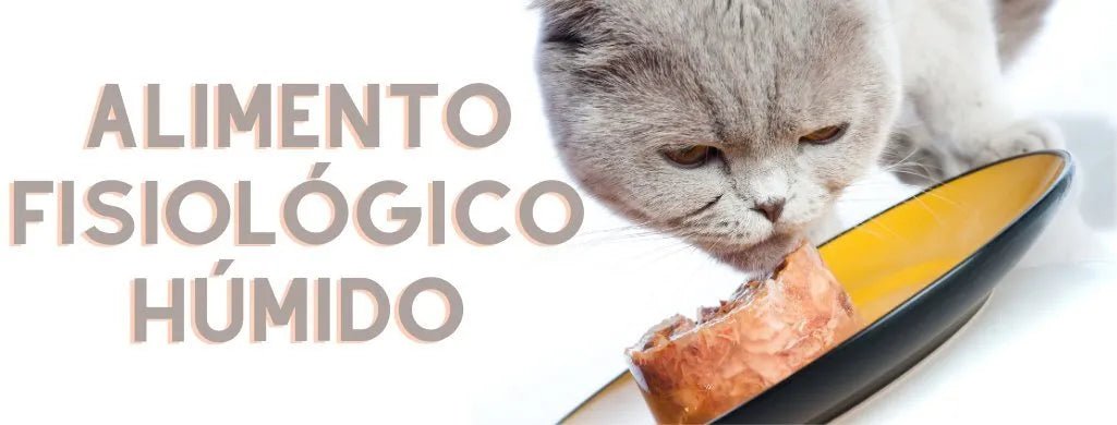 Para Gatos - Alimento Fisiológico - Alimento Húmido - PetDoctors - Loja Online
