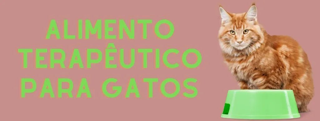 Para Gatos - Alimento Terapêutico - PetDoctors - Loja Online