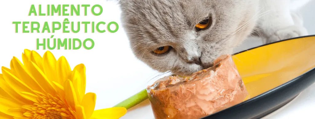 Para Gatos - Alimento Terapêutico - Alimento Húmido - PetDoctors - Loja Online