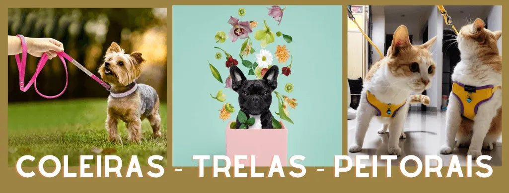 Peitorais - PetDoctors - Loja Online