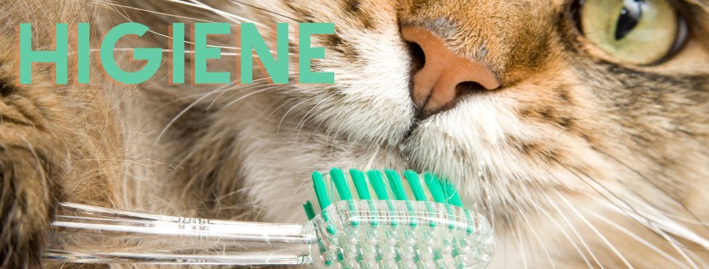 Produtos de Limpeza e Higiene | PetDoctors - Loja Online