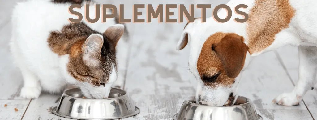 Suplemento Alimentar - PetDoctors - Loja Online