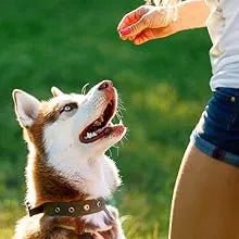 18 Multivitaminas e Minerais para Cães e Gatos, 365 comprimidos, vitamina A, B, C, D, ferro, cálcio, zinco - suporte imunitário - PetDoctors - Loja Online