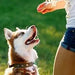 18 Multivitaminas e Minerais para Cães e Gatos, 365 comprimidos, vitamina A, B, C, D, ferro, cálcio, zinco - suporte imunitário - PetDoctors - Loja Online