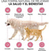 18 Multivitaminas e Minerais para Cães e Gatos, 365 comprimidos, vitamina A, B, C, D, ferro, cálcio, zinco - suporte imunitário - PetDoctors - Loja Online