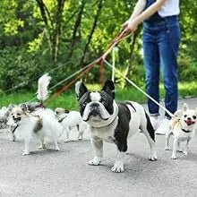 18 Multivitaminas e Minerais para Cães e Gatos, 365 comprimidos, vitamina A, B, C, D, ferro, cálcio, zinco - suporte imunitário - PetDoctors - Loja Online
