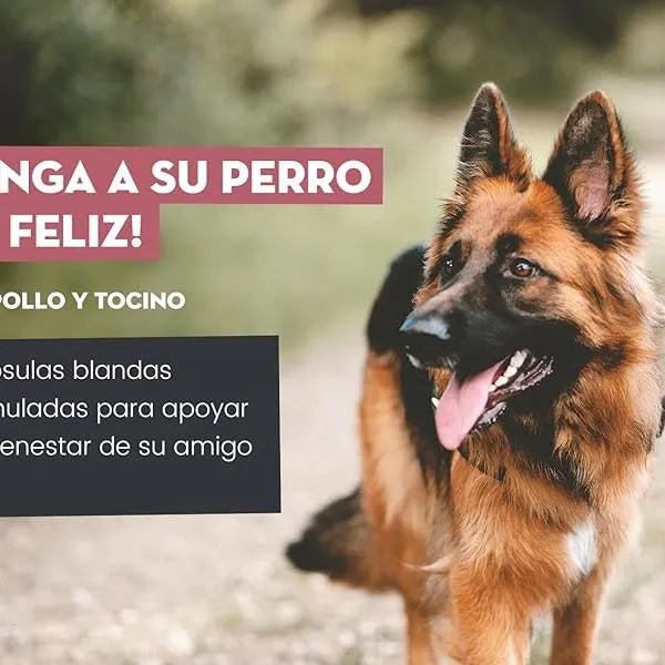 18 Multivitaminas e Minerais para Cães e Gatos, 365 comprimidos, vitamina A, B, C, D, ferro, cálcio, zinco - suporte imunitário - PetDoctors - Loja Online