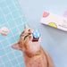 3 Bolinhas para Gatos, com som - PetDoctors - Loja Online