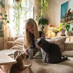 3 Saquetas GimCat Nutri Pockets Fish Salmon Snack crocante de salmão e peixe, para gatos, com ingredientes funcionais (3 saquetas de 60 gramas = 180 gramas) - PetDoctors - Loja Online