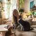 3 Saquetas GimCat Nutri Pockets Fish Salmon Snack crocante de salmão e peixe, para gatos, com ingredientes funcionais (3 saquetas de 60 gramas = 180 gramas) - PetDoctors - Loja Online