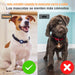3 Unidades de Capa Protetora de Silicone, Impermeável, compatível com Apple Airtag - PetDoctors - Loja Online