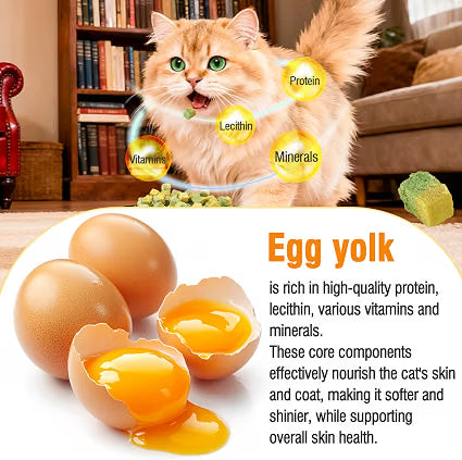 Snacks Lyophilisés pour Chats Havenfly – Herbe à Chat & Jaune d'Œuf | 60 g