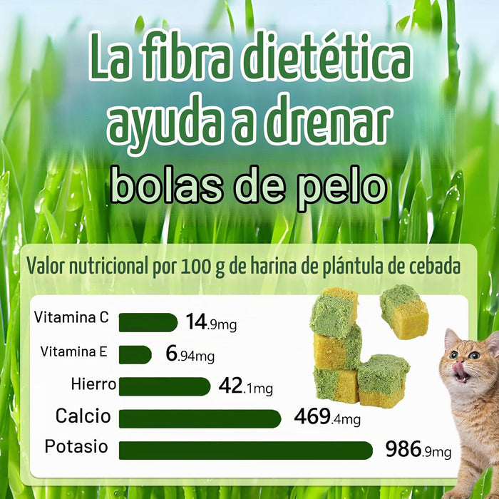 Snacks Lyophilisés pour Chats Havenfly – Herbe à Chat & Jaune d'Œuf | 60 g