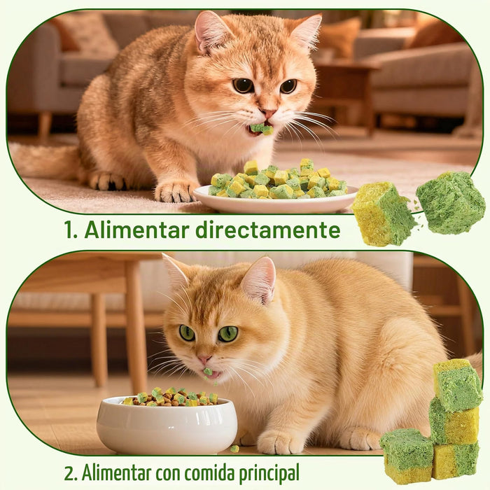 Snacks Lyophilisés pour Chats Havenfly – Herbe à Chat & Jaune d'Œuf | 60 g