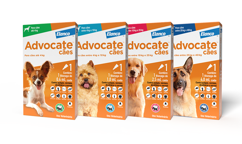 Advocate 250 mg Dog - 10-25 Kg - Box of 3 Pipettes