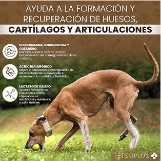 Chondroprotecteur pour chien - glucosamine, MSM, chondroïtine, collagène, acide hyal - renforce le cartilage et protège les articulations - anti-inflammatoire naturel - 120 bouchées