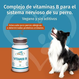 Frasco branco de DOG FIT Vitamin B large para cães, com tampa marrom, ao lado de um Border Collie preto e branco.