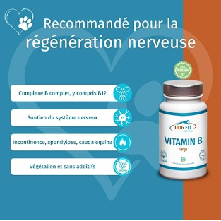 Frasco branco de DOG FIT VITAMIN B large para cães, com rótulo azul e laranja, ao lado de benefícios.