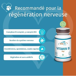 DOG FIT by PreThis® Complexe de Vitamines B pour Grands Chiens, Vegan, système nerveux, incontinence, spondylose, tremblements (à partir de 25 kg)