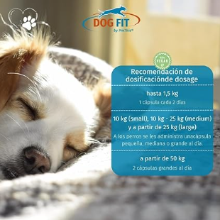Cão dormindo tranquilamente ao sol com tabela de dosagem vegana para suplemento de vitamina B DOG FIT.