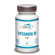Frasco branco DOG FIT by PreThis VITAMIN B large para cães grandes, com tampa prateada e rótulo azul e laranja.