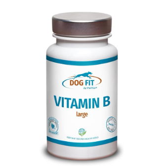 Frasco branco DOG FIT by PreThis VITAMIN B large para cães grandes, com tampa prateada e rótulo azul e laranja.