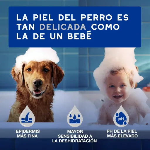 DOUXO SPA - Toalhitas cão e gato (embalagem de 100 toalhitas)