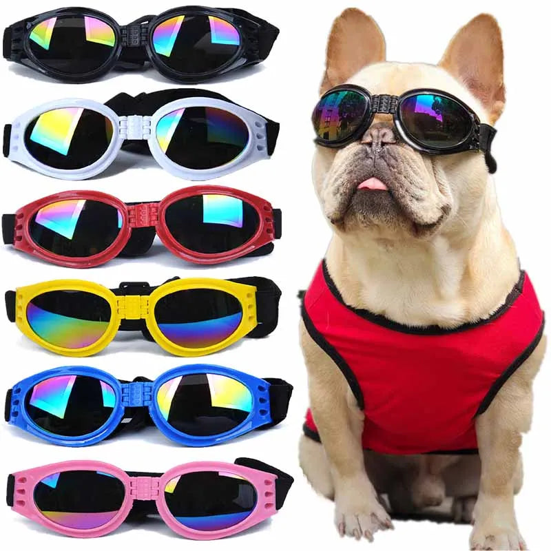 Óculos de sol UV dobráveis para cães em 6 cores: preto, branco, vermelho, amarelo, azul e rosa. Um buldogue francês usa óculos pretos.