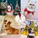 Acessório coleira de Natal para Cão ou Gato, ajustável - PetDoctors - Loja Online