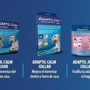 ADAPTIL Calm, anti - stress para cães (medos, ruídos fortes), apenas para casa - recarga 48 ml - PetDoctors - Loja Online