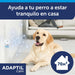 ADAPTIL Calm, anti - stress para cães (medos, ruídos fortes), apenas para casa - recarga 48 ml - PetDoctors - Loja Online