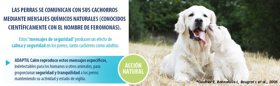 ADAPTIL Calm - anti - stress para cães (medos, ruídos fortes) - uso só em casa - Difusor + Recarga 48 ml - PetDoctors - Loja Online