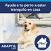 ADAPTIL Calm - Pack Poupança 3 peças de reposição 90 dias - anti - stress para cães - PetDoctors - Loja Online