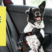 Adaptil Transport - Anti - stress para cães - viagens, transporte - spray 60 ml - PetDoctors - Loja Online