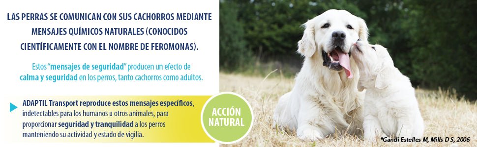 Adaptil Transport - Anti - stress para cães - viagens, transporte - spray 60 ml - PetDoctors - Loja Online