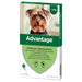 Advantage cão - Caixa com 4 pipetas - PetDoctors - Loja Online