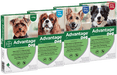 Advantage cão - Caixa com 4 pipetas - PetDoctors - Loja Online