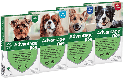 Advantage cão - Caixa com 4 pipetas - PetDoctors - Loja Online