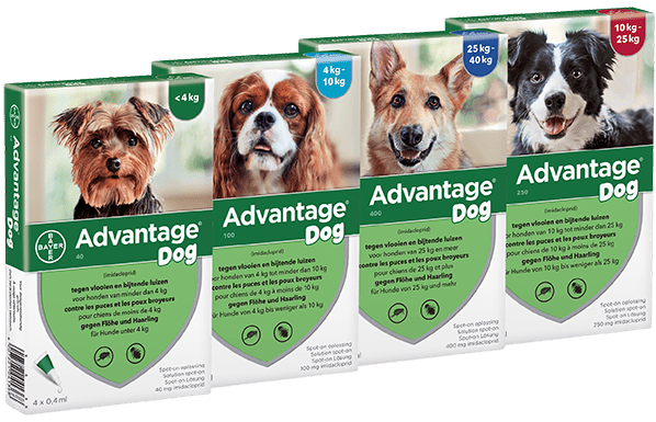 Advantage cão - Caixa com 4 pipetas - PetDoctors - Loja Online