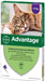 Advantage Gato - Caixa com 4 pipetas - PetDoctors - Loja Online
