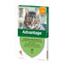 Advantage Gato - Caixa com 4 pipetas - PetDoctors - Loja Online