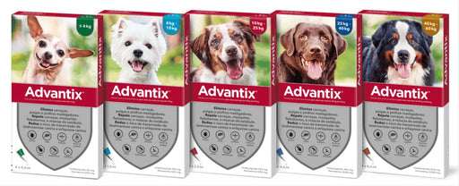 Advantix® - Pipetas Advantix® Desparasitante para cães - Conjunto de 4 Pipetas - PetDoctors - Loja Online