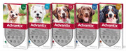 Advantix® - Pipetas Advantix® Desparasitante para cães - Conjunto de 4 Pipetas - PetDoctors - Loja Online