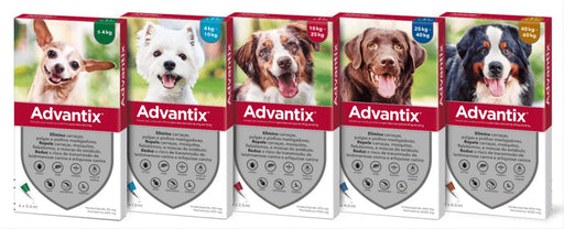 Advantix® - Pipetas Advantix® Desparasitante para cães - Conjunto de 4 Pipetas - PetDoctors - Loja Online