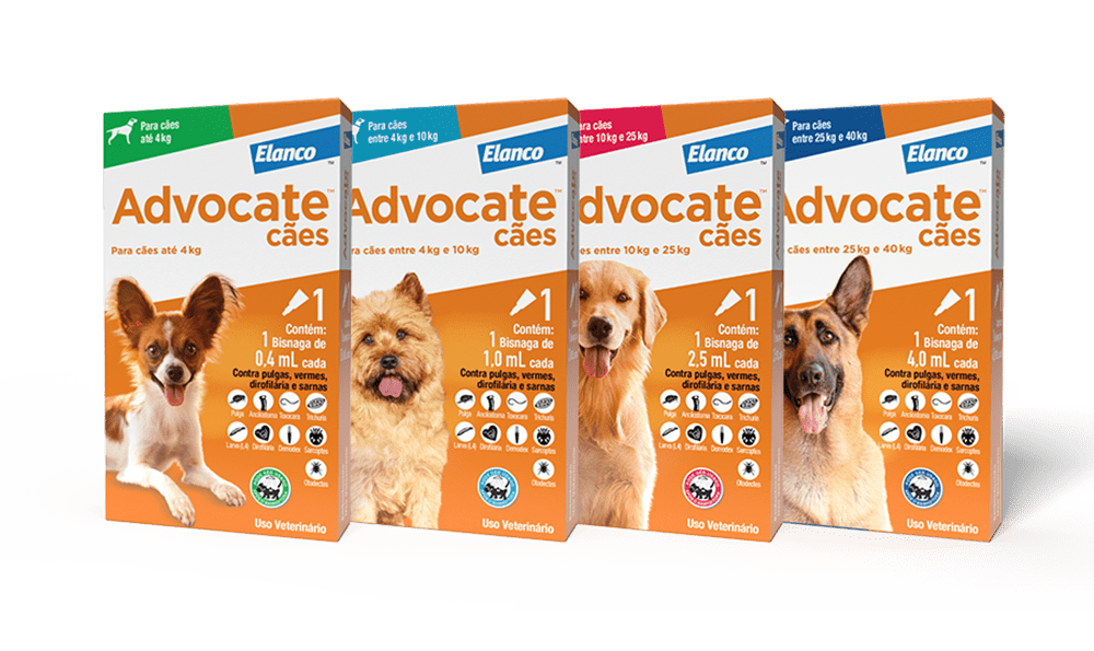 Advocate 250 mg Cão - 10-25 Kgs - Caixa com 3 Pipetas - PetDoctors - Loja Online